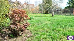 photo_8