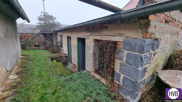 photo_12