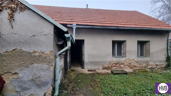 photo_15