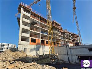 photo_4