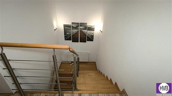 photo_11