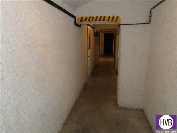 photo_24