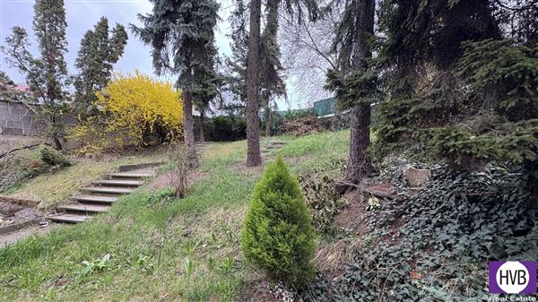 photo_3