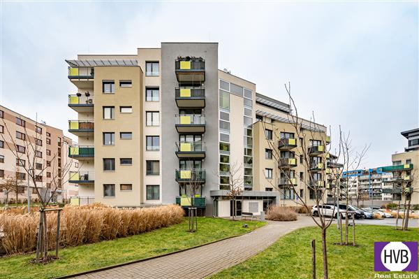 photo_4