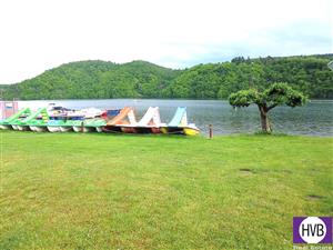 photo_11