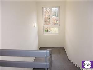 photo_6