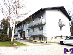 photo_7