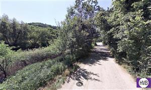 photo_4