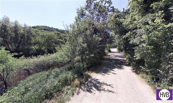 photo_2