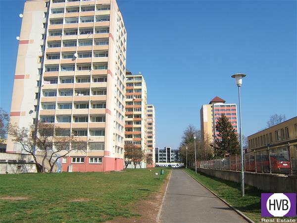 photo_2