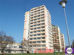 photo_3