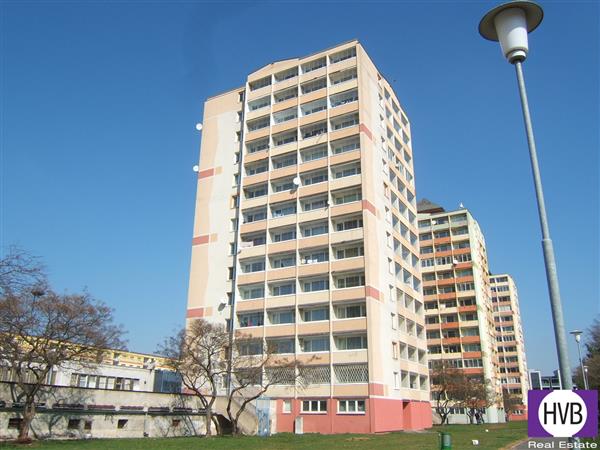 photo_3