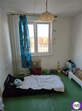 photo_8