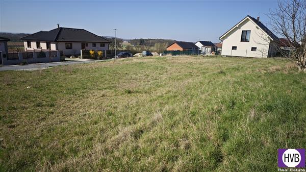photo_1