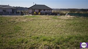 photo_3