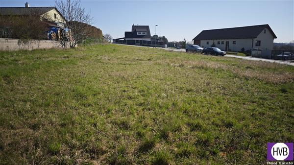 photo_7