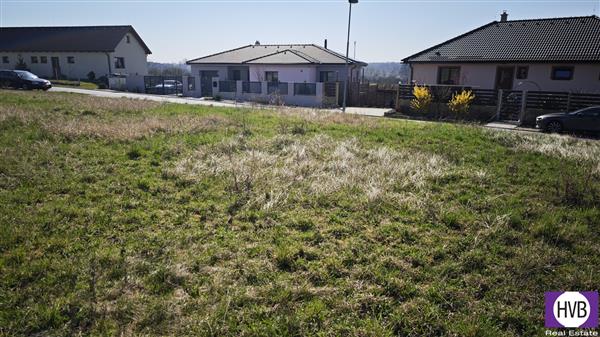 photo_8