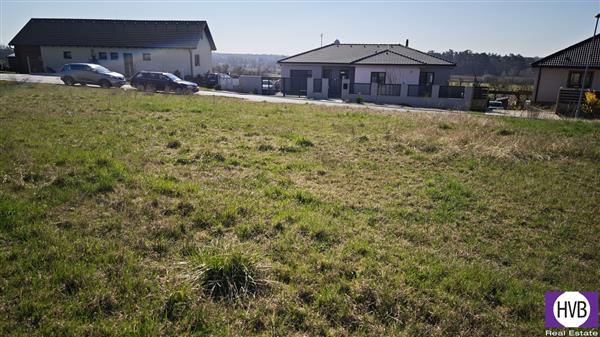 photo_12