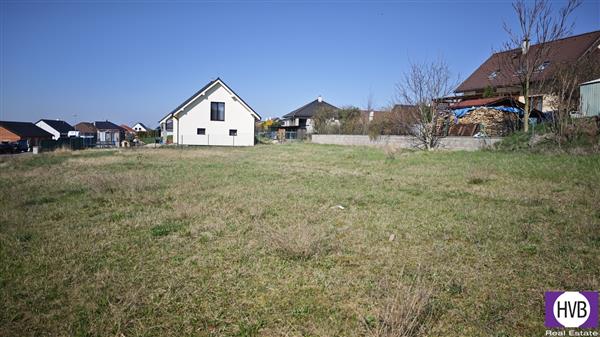photo_14