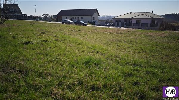 photo_12