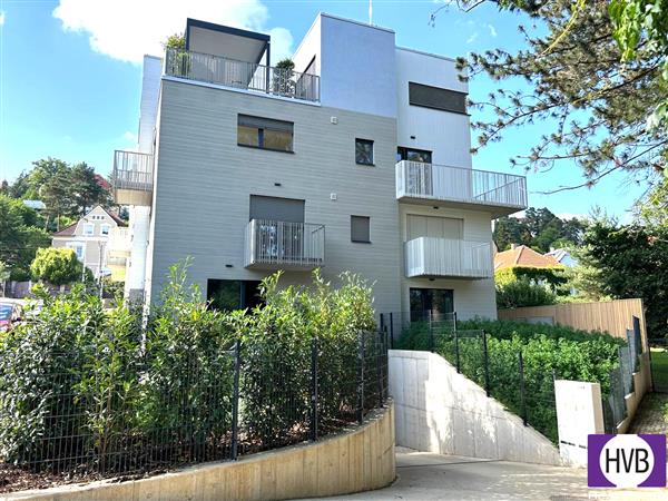 photo_2