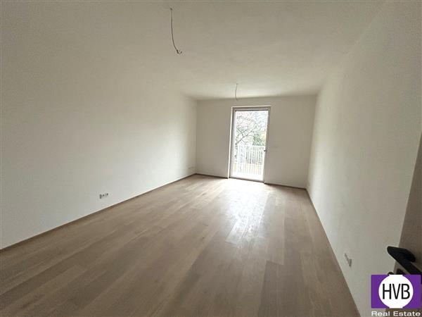 photo_3