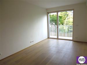 photo_4