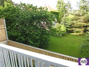 photo_15