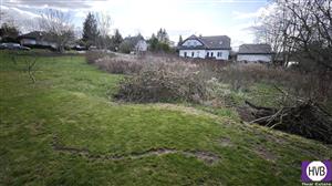 photo_4