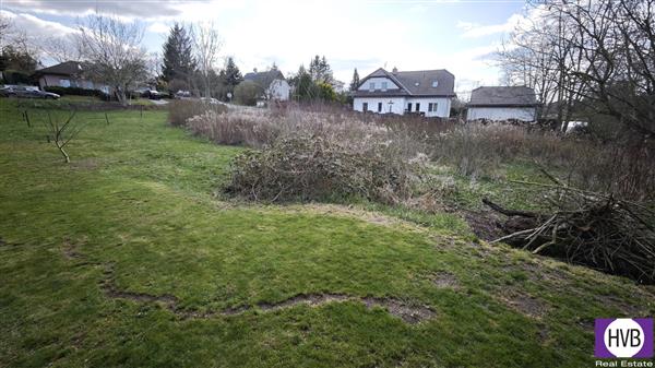 photo_4