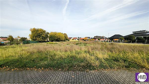 photo_2