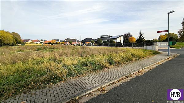 photo_4
