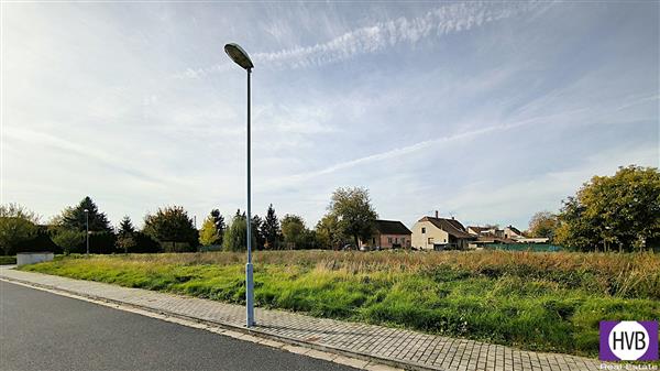 photo_5