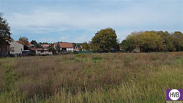 photo_7