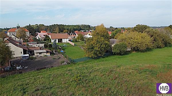 photo_8