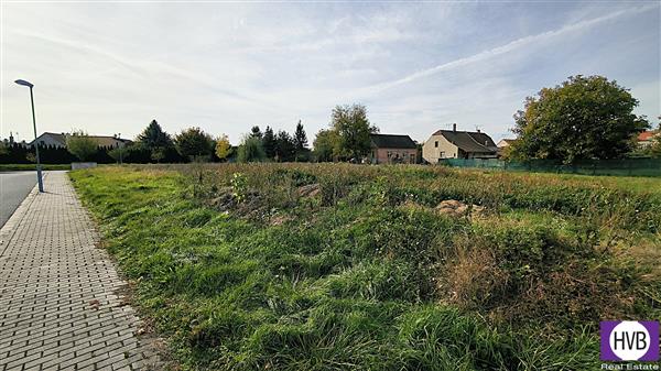 photo_11