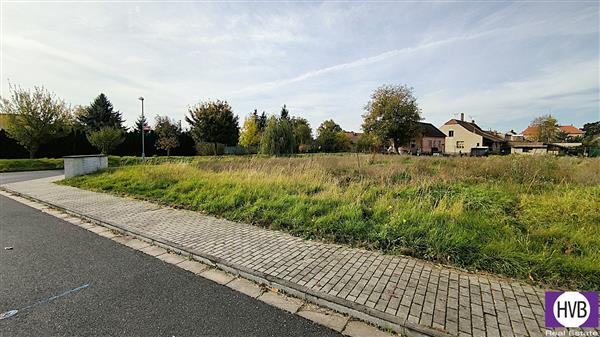 photo_12