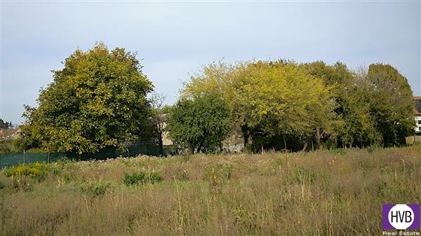 photo_13