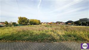 photo_2