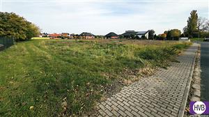 photo_9