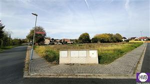 photo_10