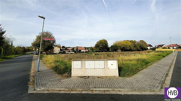 photo_10
