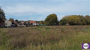photo_7