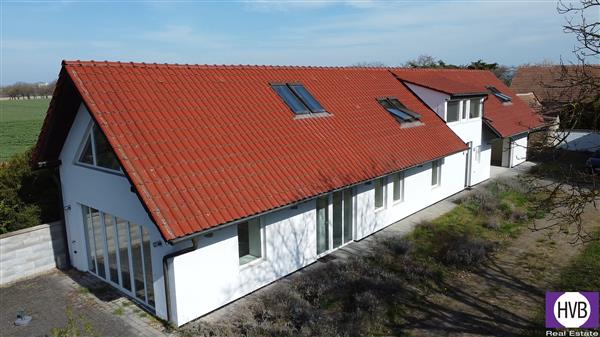 photo_1