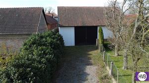 photo_6