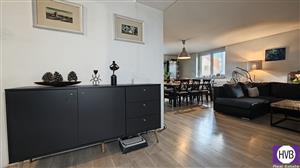 photo_8