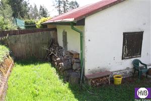 photo_4