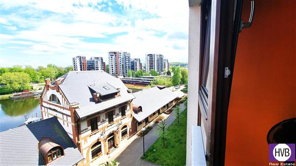 photo_6