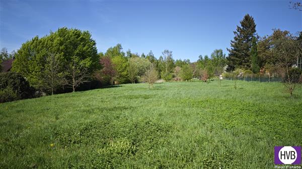 photo_1