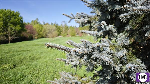 photo_4